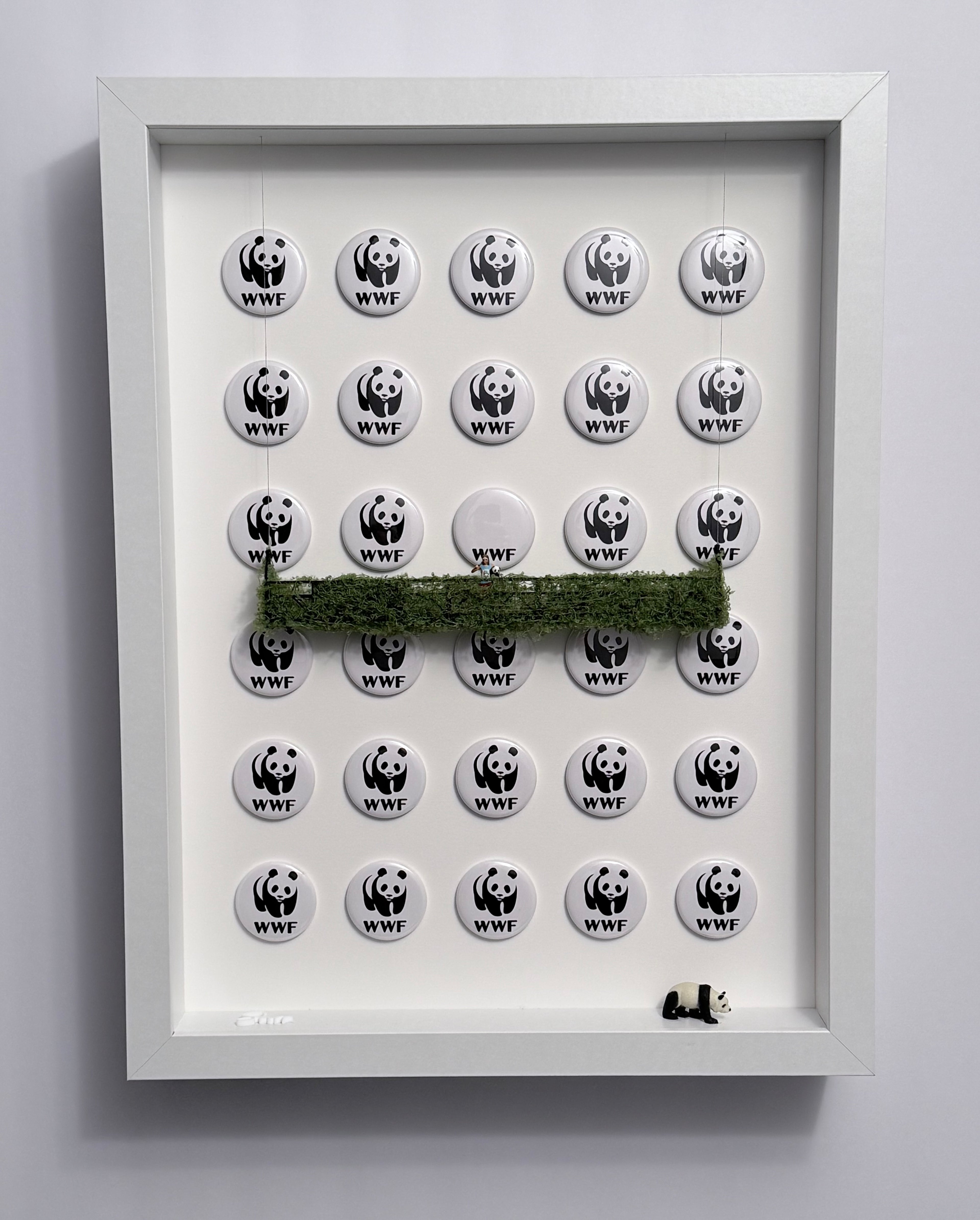 Shadow box artwork, displaying a Collection of WWF buttons on a white background. A platform covered by weeds with a miniature figurine holding a baby panda. 